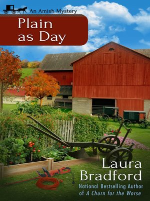cover image of Plain as Day